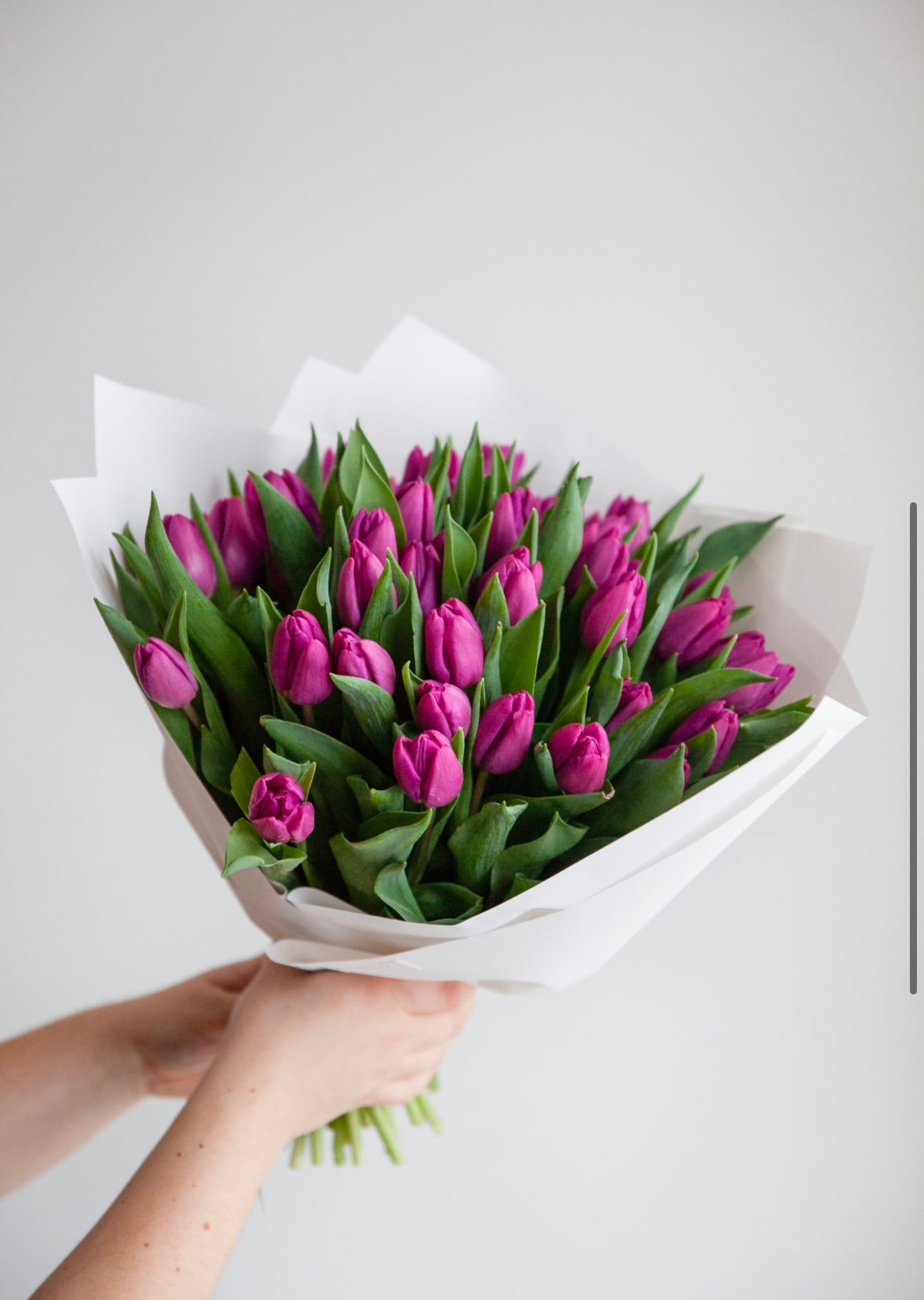 Violetinių tulpių puokštė