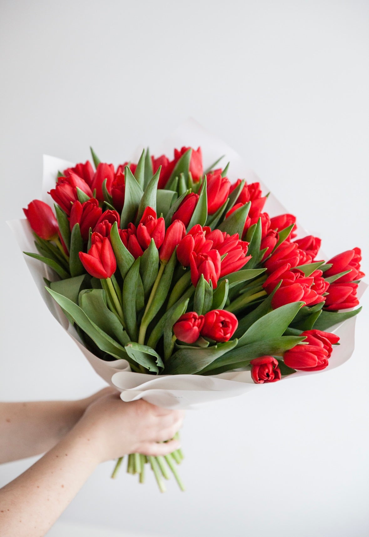 Raudonų tulpių puokštė